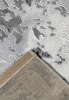 ELIT 9189A L.GREY L.GREY carpet-room4